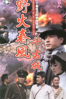 野火春風(fēng)斗古城(全集)