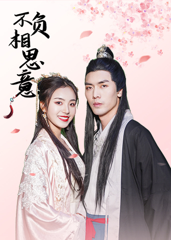 不負(fù)相思意(全集)