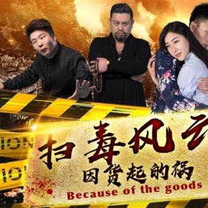 掃毒風云之因貨起的禍(全集)