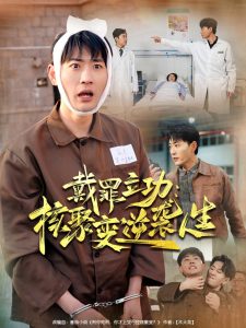 戴罪立功核聚變逆襲人生(全集)