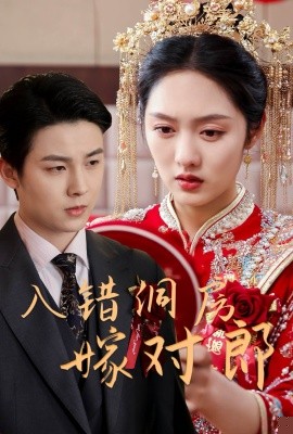 入錯(cuò)洞房嫁對(duì)郎(全集)