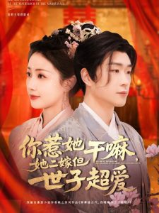 你惹她干嘛，她二嫁但世子超愛(全集)