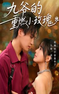 九爺?shù)闹厝夹∶倒?全集)