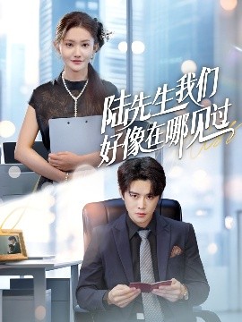 陸先生我們好像在哪見(jiàn)過(guò)(全集)