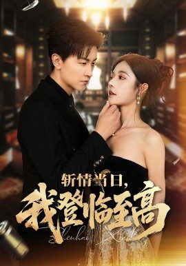 斬情當(dāng)日，我登臨至高(全集)