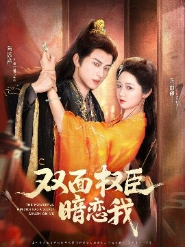 雙面權(quán)臣暗戀我(全集)