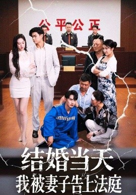 結(jié)婚當(dāng)天我被妻子告上法庭(全集)