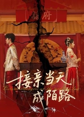接親當天成陌路(全集)