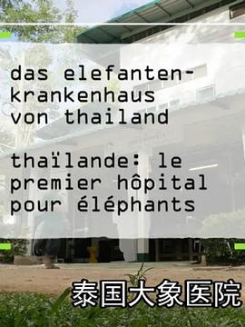泰國大象醫(yī)院