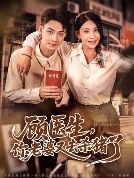 顧醫(yī)生，你老婆又去殺豬了(全集)