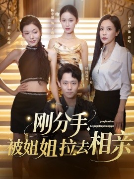 剛分手，被姐姐拉去相親(全集)