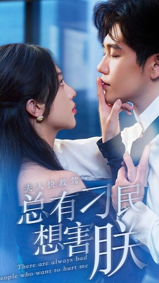 夫人快救駕，總有刁民想害朕(全集)