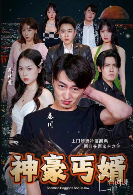 神豪丐婿(全集)