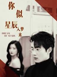 你似星辰入夢(mèng)來(全集)