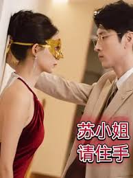 蘇小姐請住手(全集)