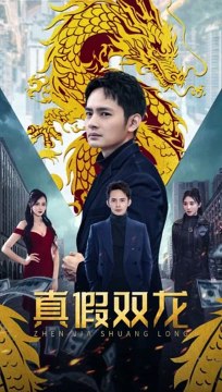 真假雙龍(全集)