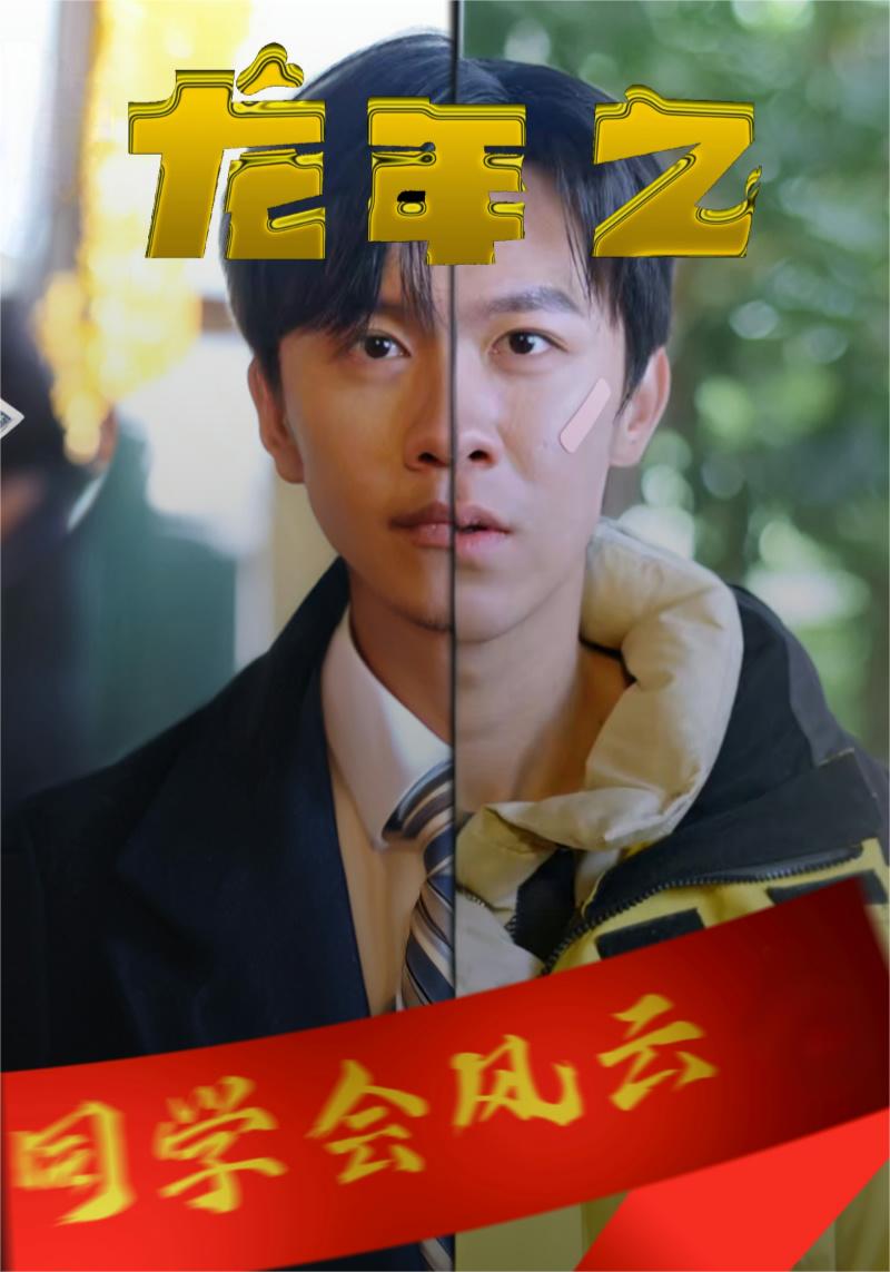 龍年之同學(xué)會風云(全集)