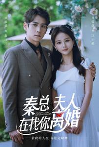 秦總，夫人在找你離婚(全集)