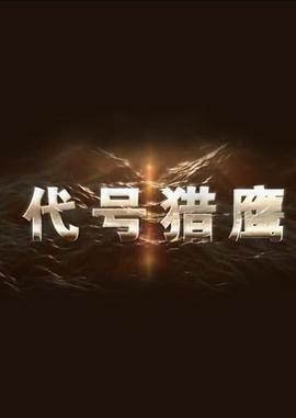 代號(hào)獵鷹(全集)