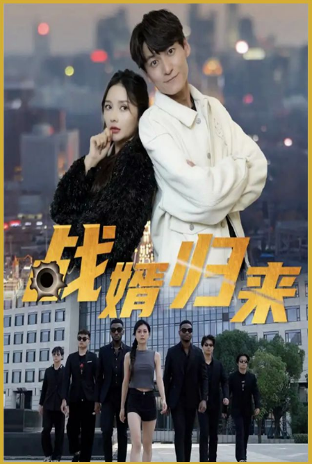 戰(zhàn)婿歸來(全集)