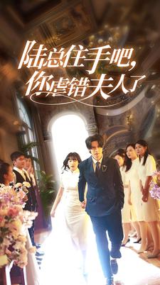 陸總住手吧，你虐錯夫人了(全集)