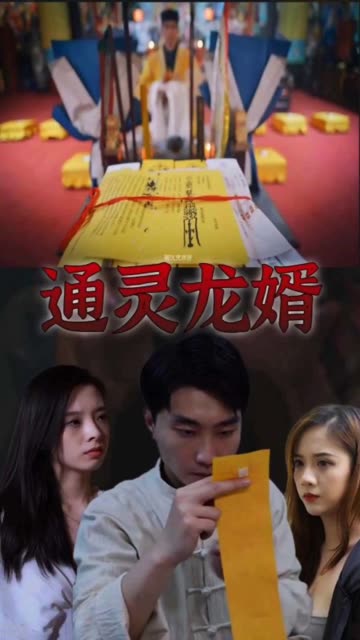 通靈龍婿(全集)