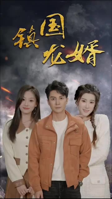 鎮(zhèn)國龍婿(全集)