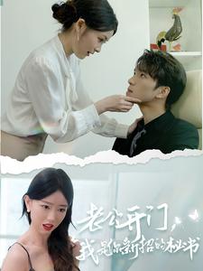 老公開門，我是你新招的秘書(全集)