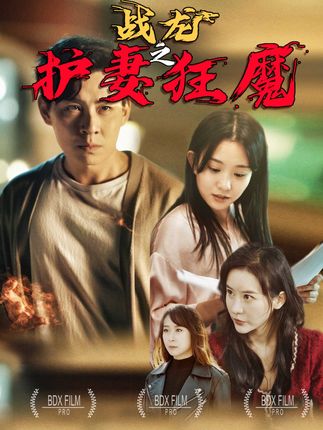 戰(zhàn)龍之護妻狂魔(全集)