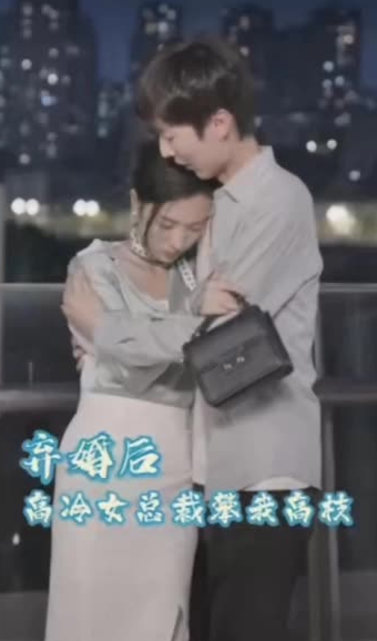 棄婚后，高冷女總裁攀我高枝(全集)