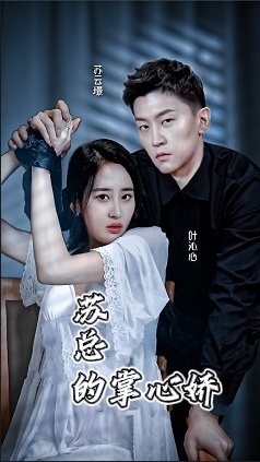 蘇總的掌心驕(全集)