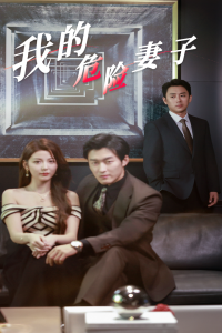 我的危險(xiǎn)妻子短劇(全集)