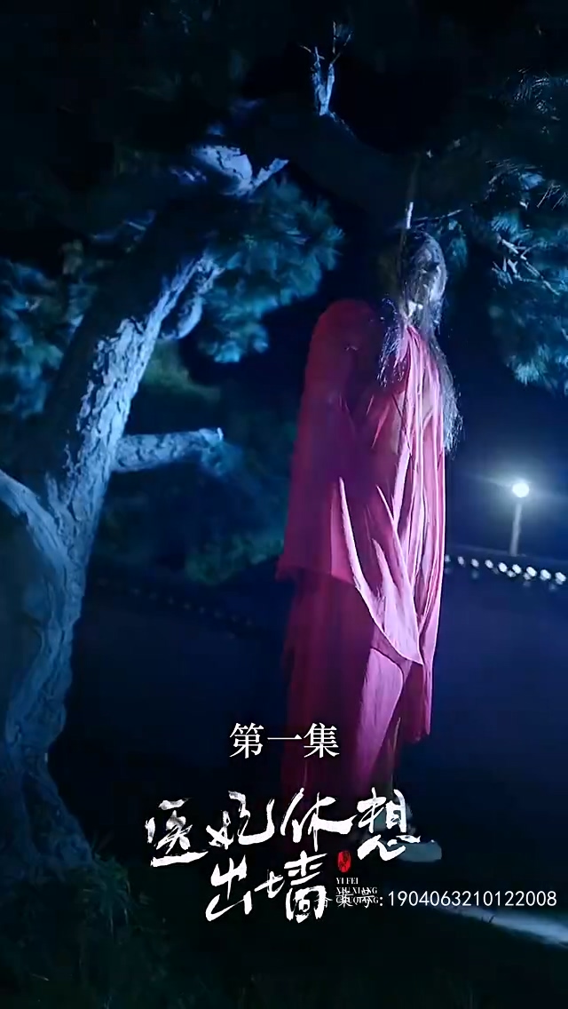 醫(yī)妃休想出墻(全集)