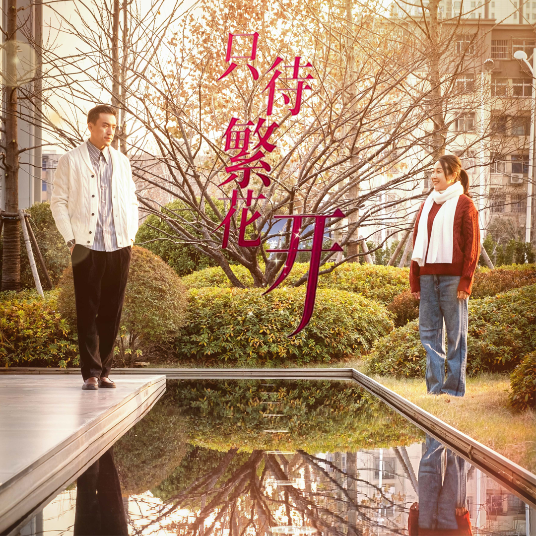 只待繁花開(kāi)(全集)