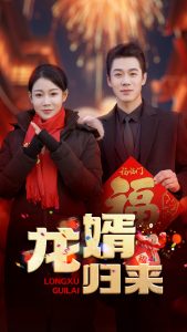 龍婿歸來(lái)(全集)