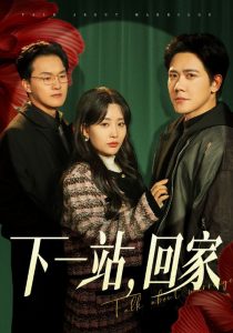 下一站，回家(全集)