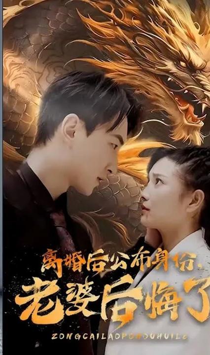 離婚后公布身份，老婆后悔了(全集)