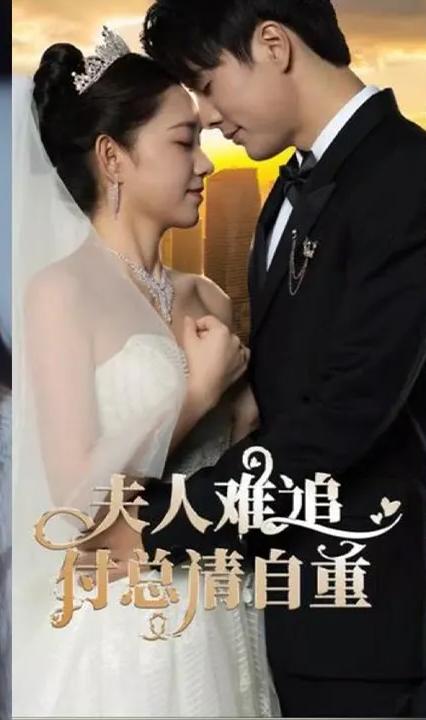 夫人難追，付總請(qǐng)自重(全集)