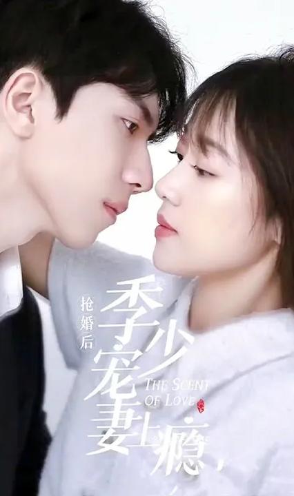 搶婚后，季少寵妻上癮(全集)