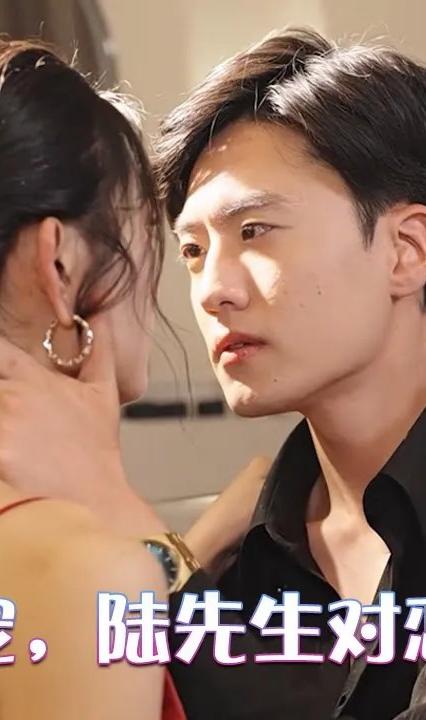 閃婚成寵，陸先生對戀愛過敏(全集)