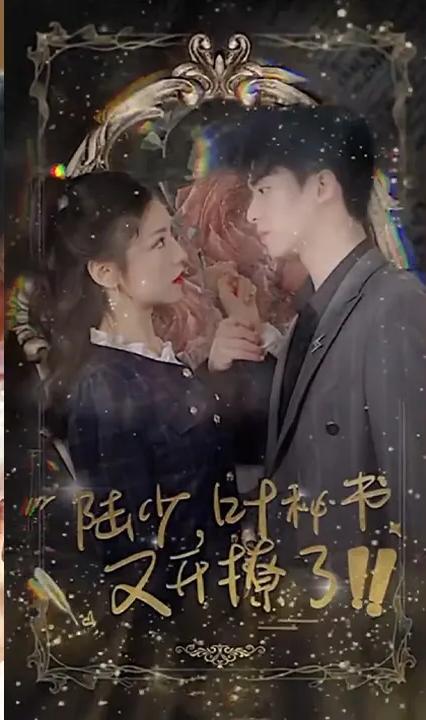 陸少，葉秘書又開撩了！(全集)