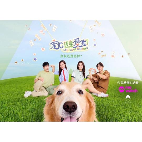 寵他，還是愛(ài)我？(全集)