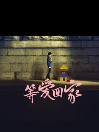 等愛(ài)回家(全集)