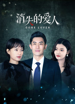 消失的愛(ài)人(全集)